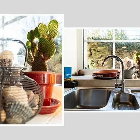 La Rustique, Maison De Charme Proche Carcassonne - Jardin, Wifi, équipée Cuxac-Cabardès